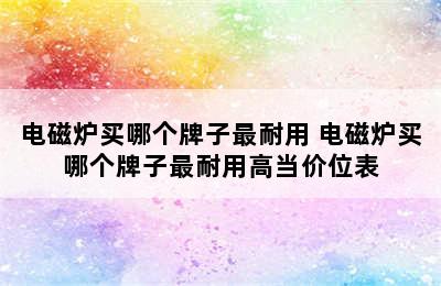 电磁炉买哪个牌子最耐用 电磁炉买哪个牌子最耐用高当价位表